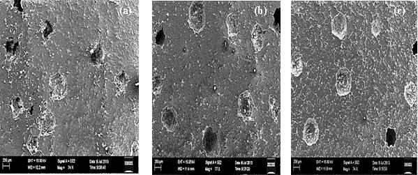 Электронные микрофотографии образца пористого АМг3