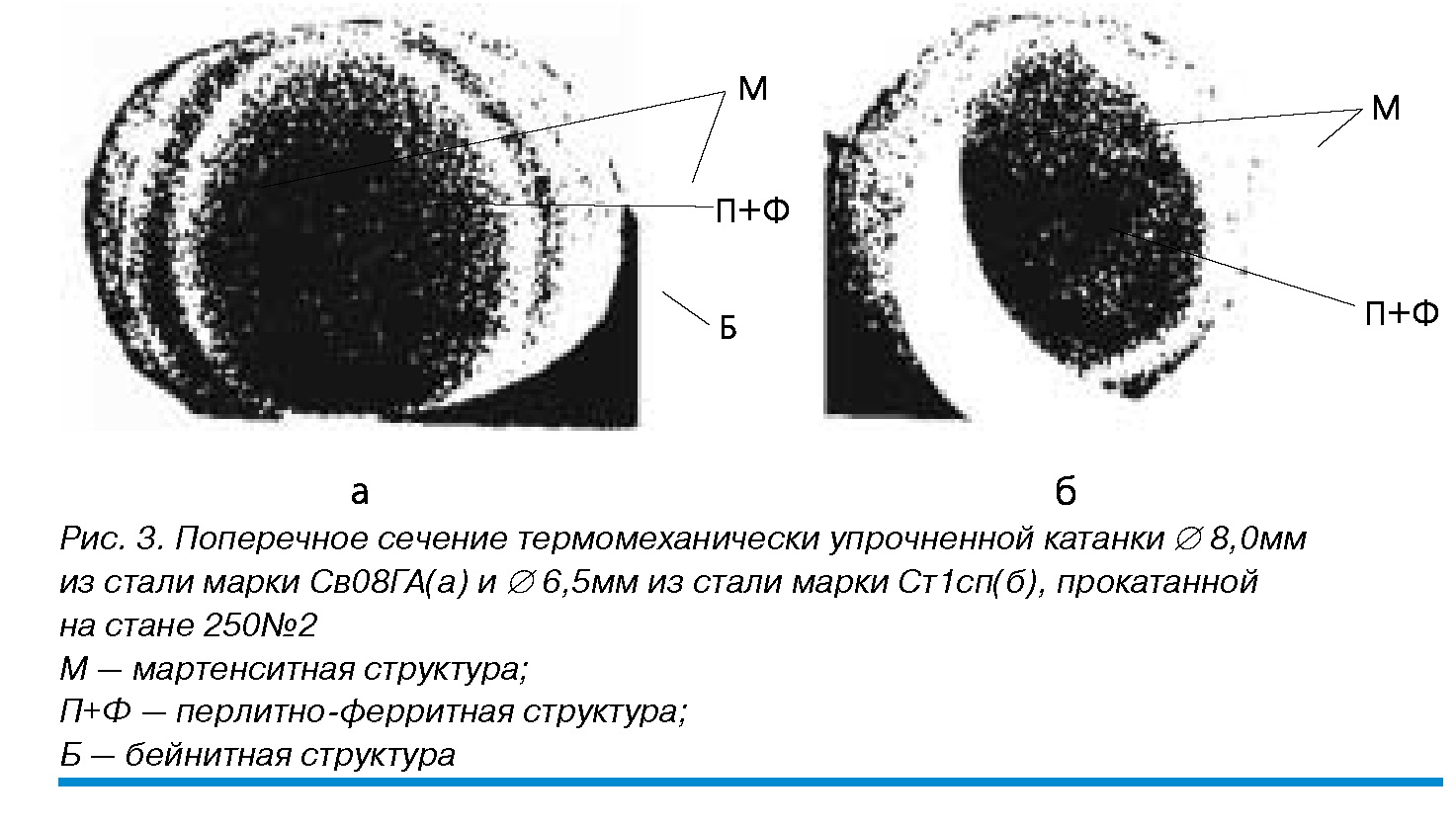 поперечное сечение упрочненной катанки поперечное сечение