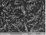 Alloy microstructure of Fe-30% W system (а-×300; b-×2000)