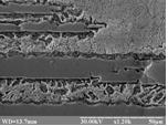 Alloy microstructure