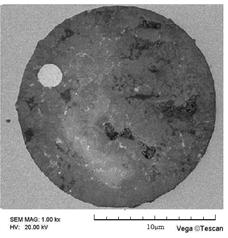 Fig. 2 Morphologies of a typical inclusion in Sample 1